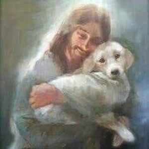 Meet your Posher, Bill